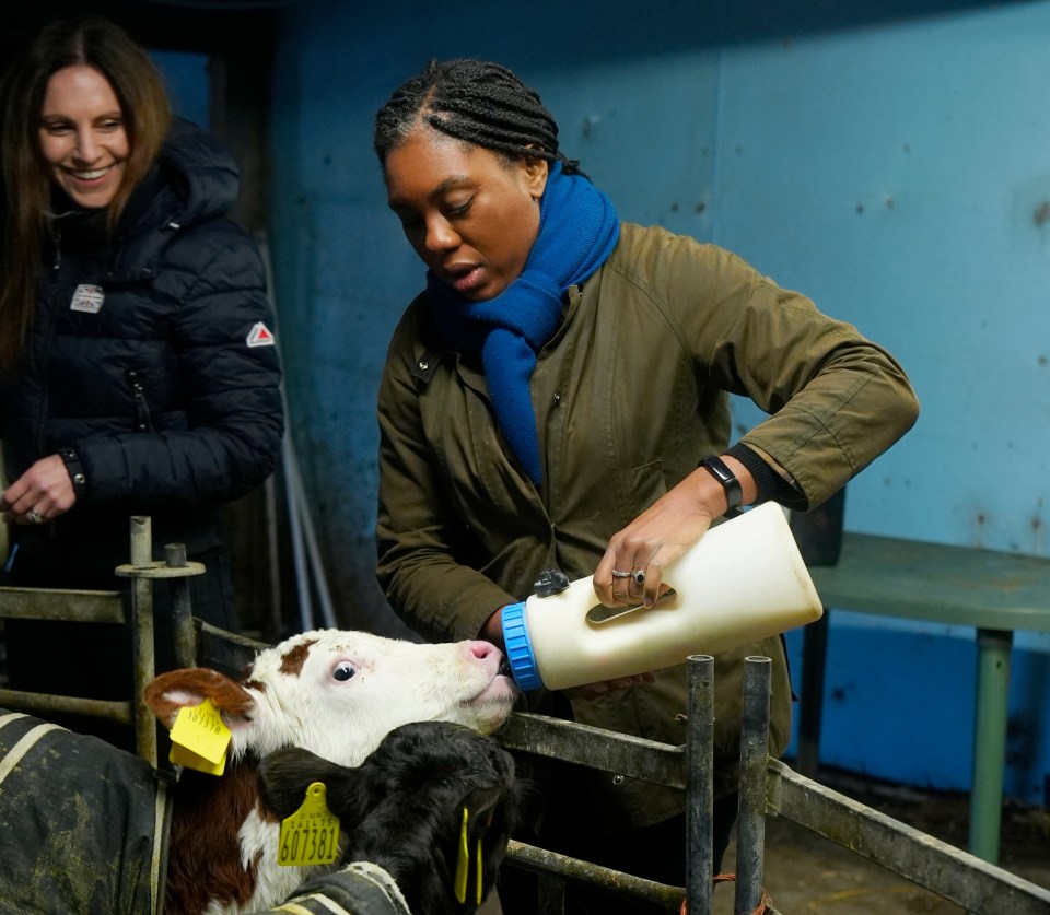 Kemi Badenoch bottle-feeding calves on a farm.