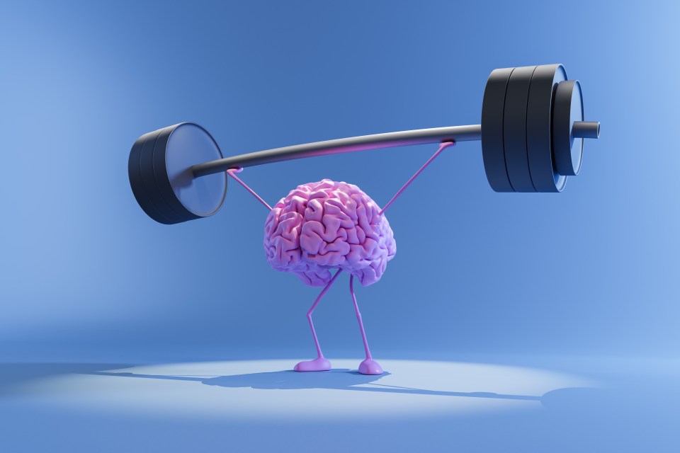 Brain lifting a barbell.