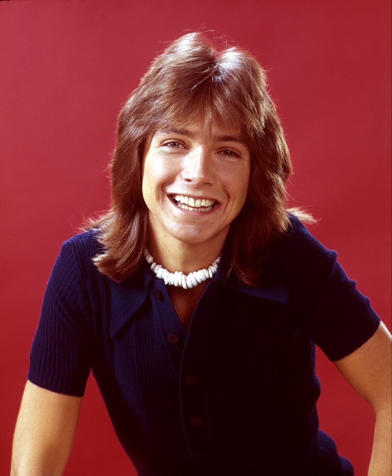 Portrait of David Cassidy.