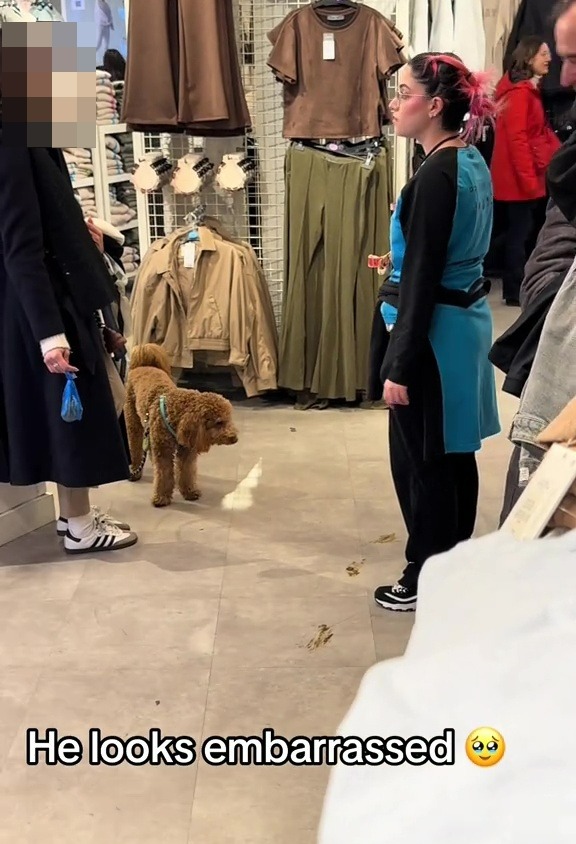 Dog defecates on Primark shop floor.