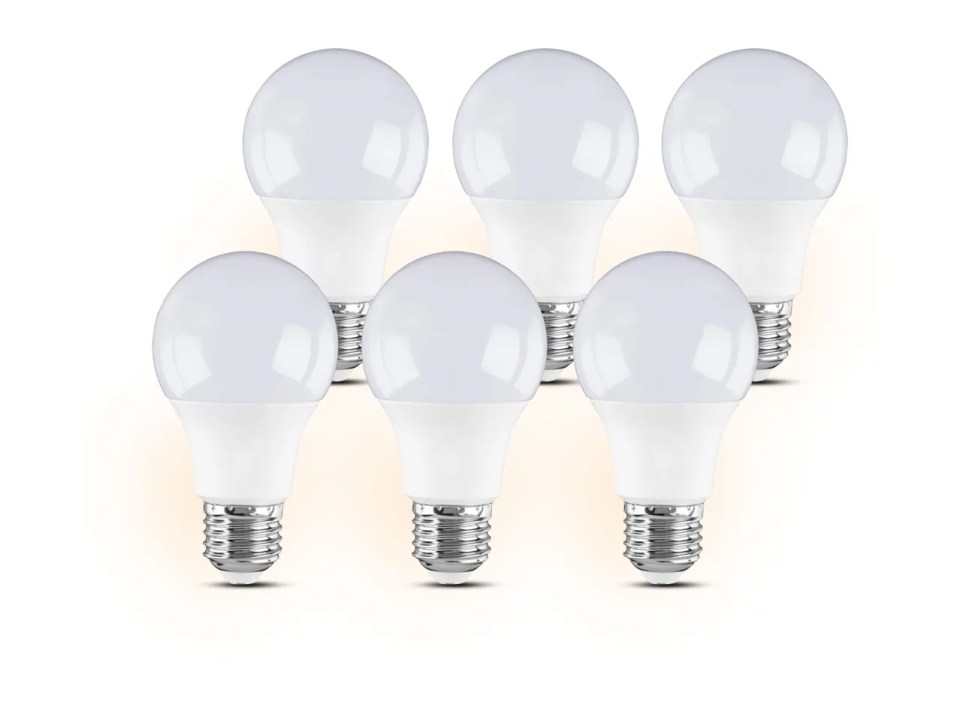 Six LED light bulbs.