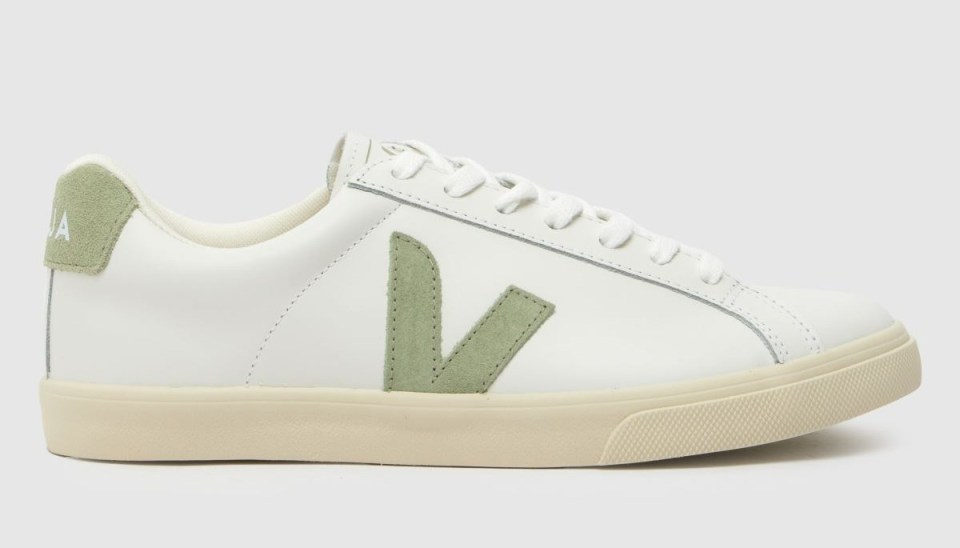 Veja trainers are all made from recycled plastic bottles