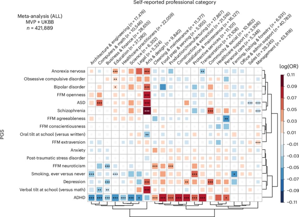 Heatmap showing correlations between polygenic scores for 17 neuropsychiatric traits and 22 professional categories in 421,889 individuals of European ancestry.