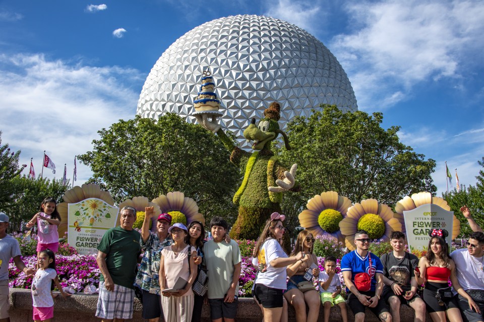 Goofy topiary holding a birthday cake at Epcot's Flower and Garden Festival.