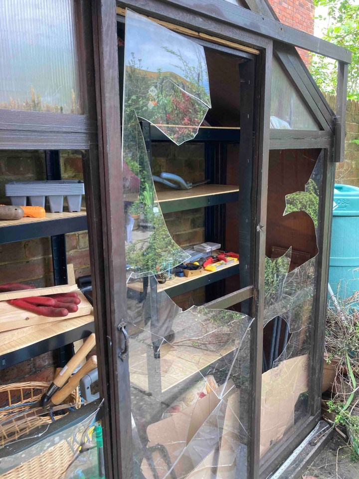 Broken glass pane in a lean-to greenhouse door.