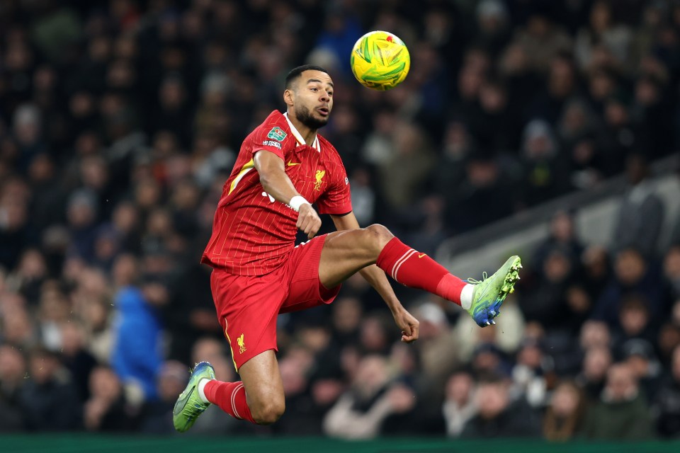 LONDON, ENGLAND - JANUARY 8: Cody Gakpo of Liverpool during the Carabao Cup Semi Final First Leg match between Tottenham Hotspur and Liverpool at Tottenham Hotspur Stadium on January 8, 2025 in London, England. (Photo by Charlotte Wilson/Offside/Offside via Getty Images)