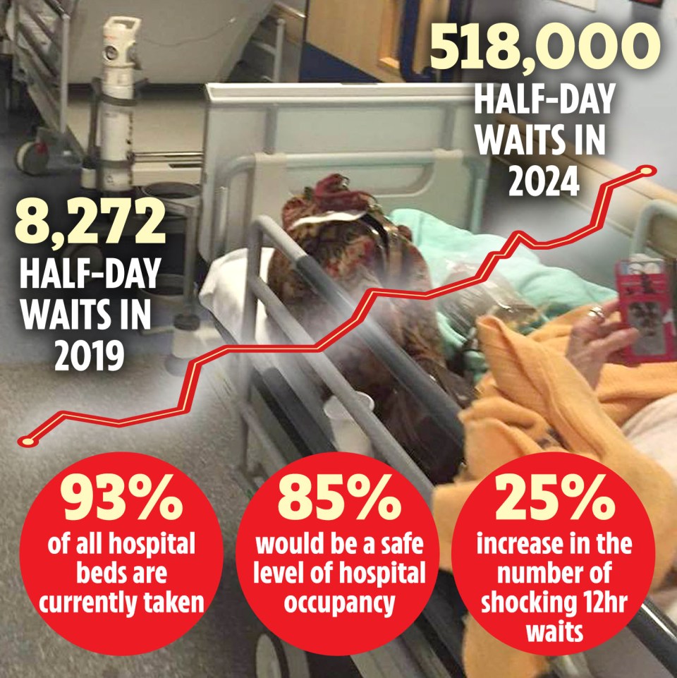 Illustration of projected hospital wait times, showing a significant increase from 2019 to 2024, along with statistics on hospital bed occupancy and 12-hour waits.