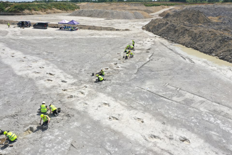 Aerial view of paleontologists excavating dinosaur footprints.