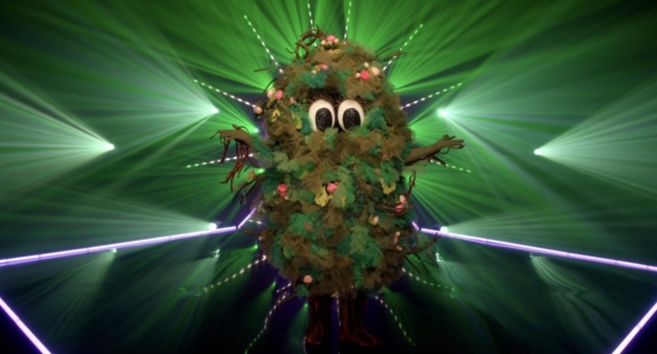 Bush as the Bush costume on The Masked Singer.