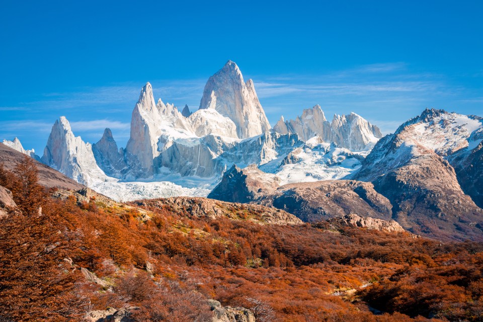 Mt. Fitzroy in Patagonia, with autumn foliage in the foreground.