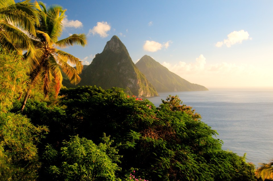 Tropical island landscape with Pitons mountains and lush vegetation.