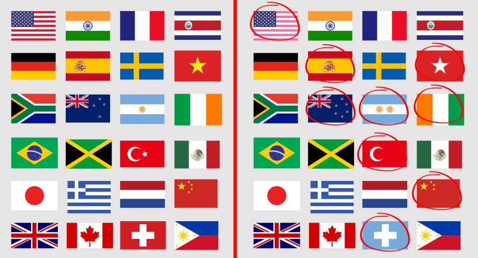 Illustration of a visual puzzle showing two grids of national flags, with some flags circled to indicate errors.