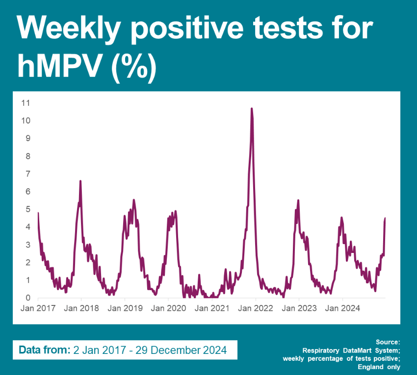 Line graph showing weekly percentage of positive hMPV tests in England from 2017-2024.