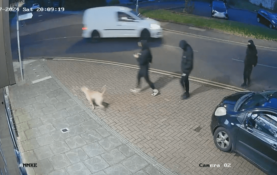 Security camera footage of three people and a dog on a sidewalk at night.