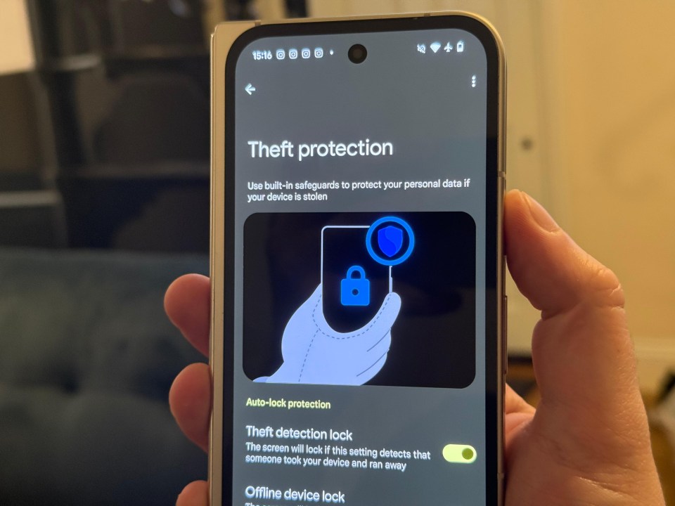 Smartphone displaying theft protection settings.