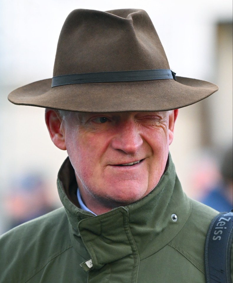 What will trainer Willie Mullins have in store for these five horses over the coming months, with millions in prize money up for grabs?