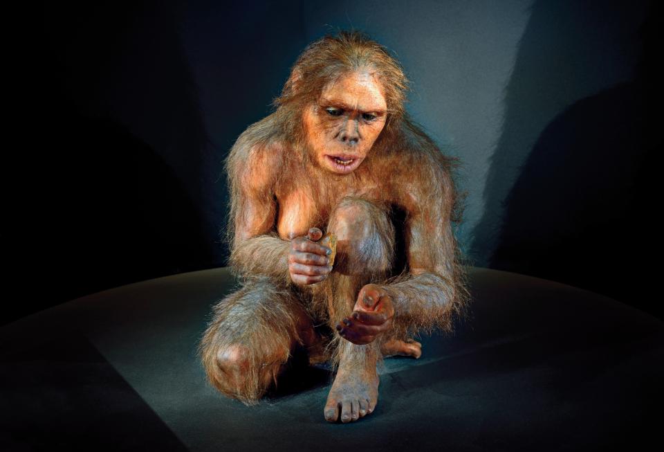 Hominid 'Lucy' (Australopithecus afarensis) in the Museum of Human Evolution