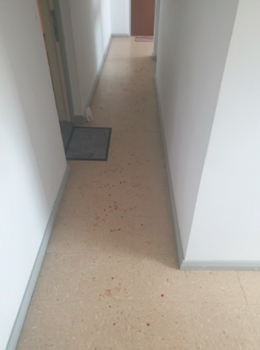 Blood spatter on a hallway floor.