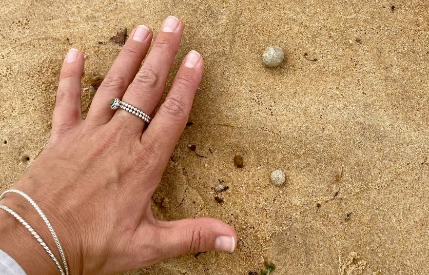 Hand on sand with several small, round objects.