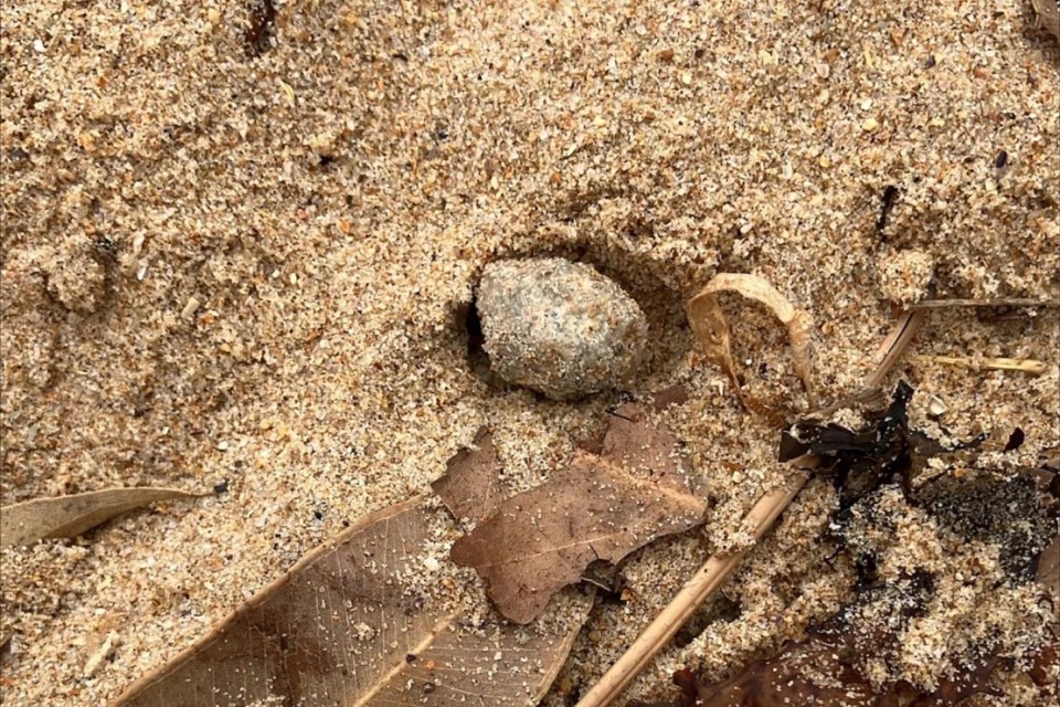 A gray ball partially buried in sand.