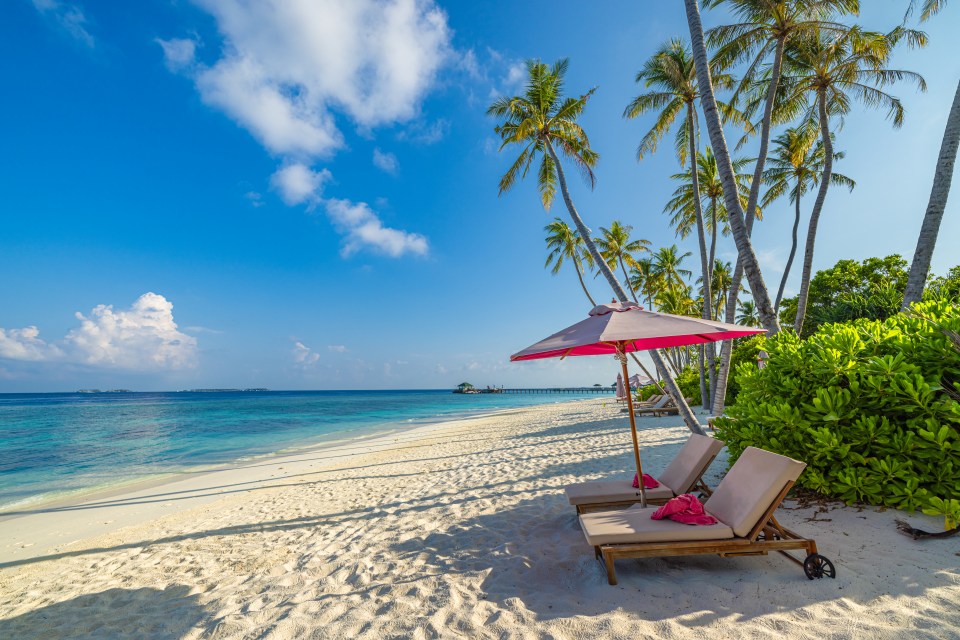 Tropical beach with lounge chairs and umbrella.