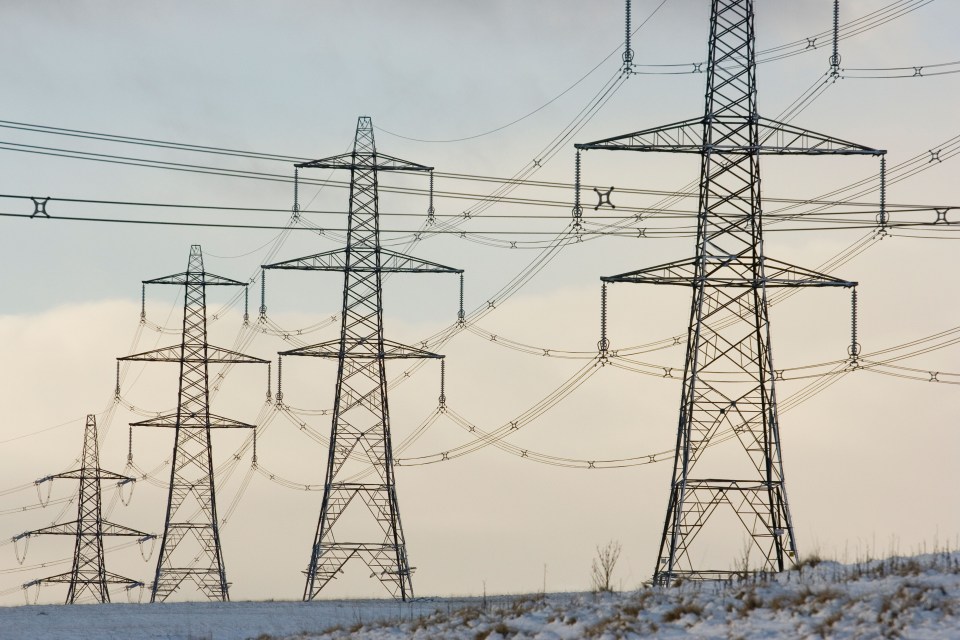 Electricity pylons in a snowy landscape.