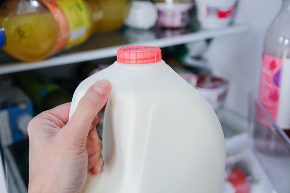 Hand holding a milk jug from the refrigerator.