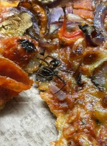 Spider in Pizza Hut pizza.