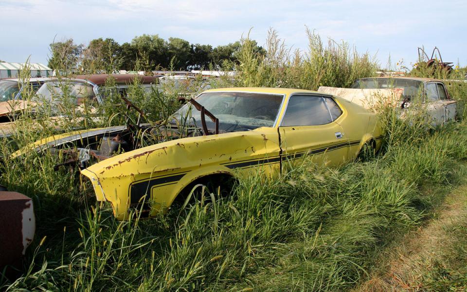 Rusty cars overgrown with tall grass in a junkyard.