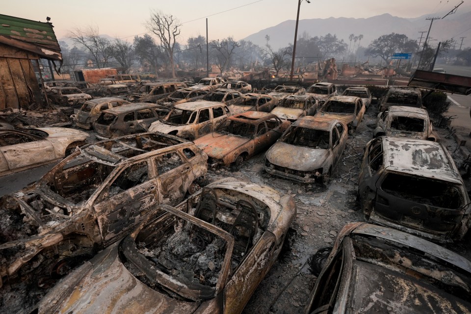 Fire-damaged cars in a dealership parking lot.