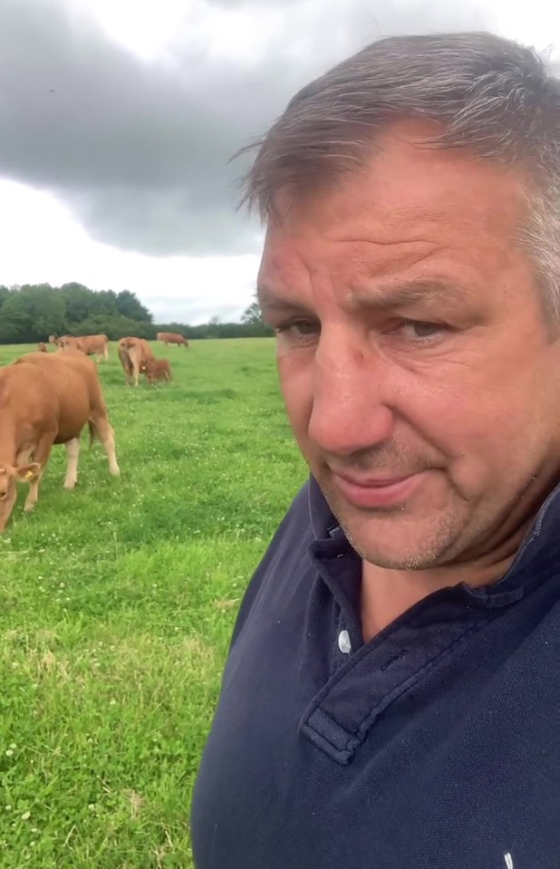 Julian White, former England rugby player and current farmer, in a field with cattle.