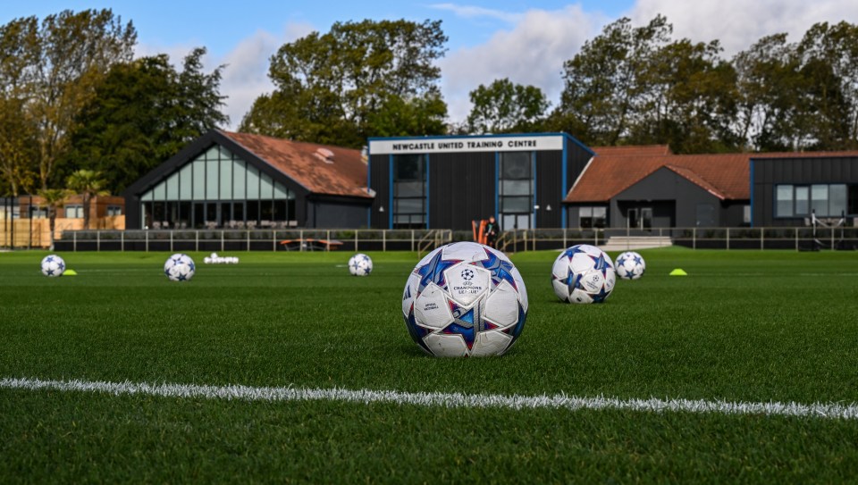 UEFA Champions League soccer balls on a training field.