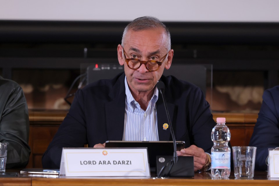 Lord Ara Darzi, Co-Director of the Institute of Global Health Innovation at Imperial College London, speaking at a conference.