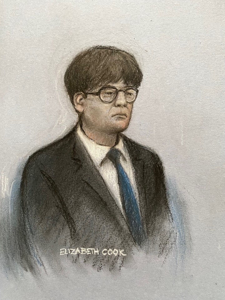 Court artist's drawing of Zhenhao Zou.