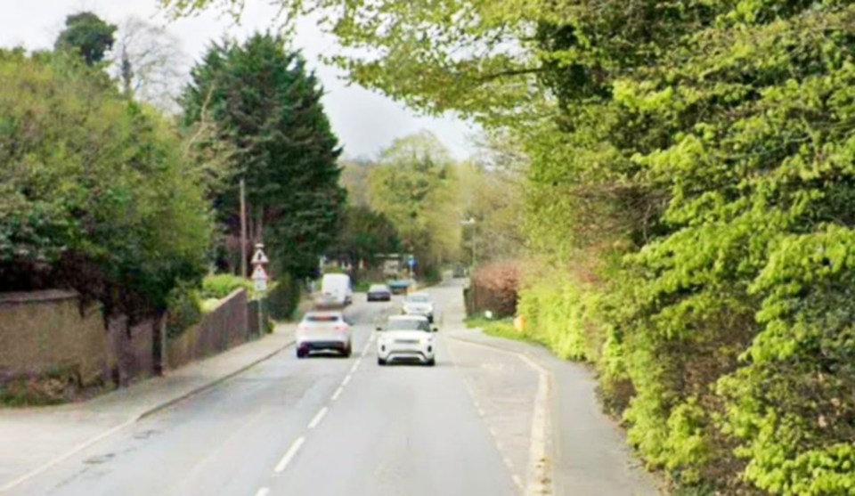 Cars driving on a road lined with trees and bushes.