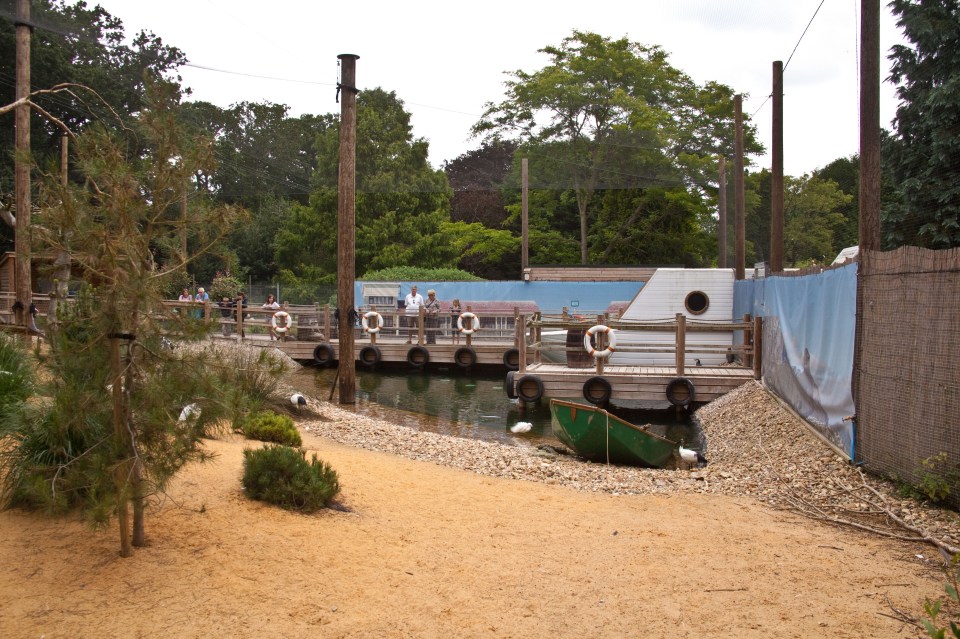 Penguin enclosure at Birdworld, Farnham.