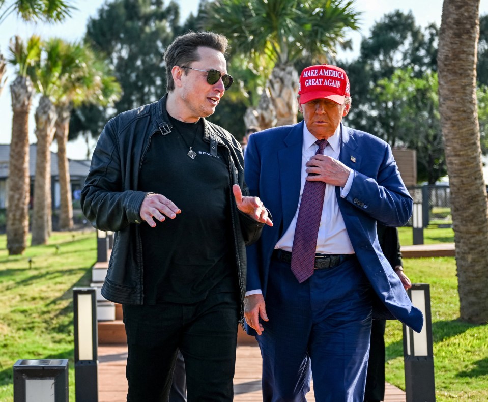 Elon Musk and Donald Trump walking and talking.