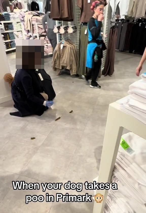 Person cleaning up dog feces in Primark.