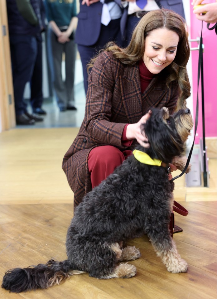 The Princess of Wales shaking hands with a staff member at the Royal Marsden Hospital, a dog sits nearby.