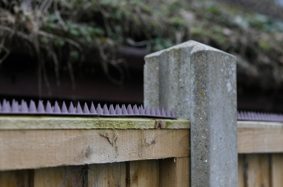 Plastic spikes are fitted onto the fence for pest control