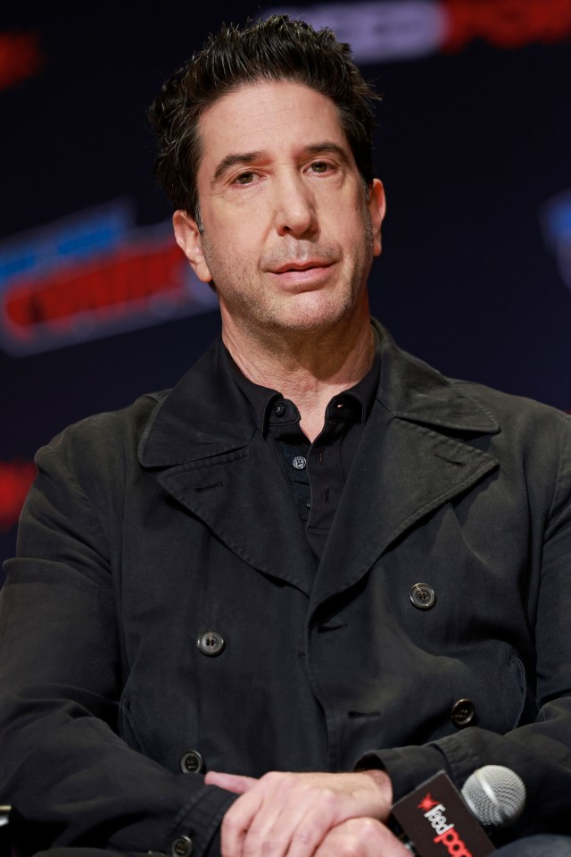 David Schwimmer at New York Comic Con.