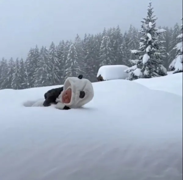 Baby in panda hat lying in the snow.