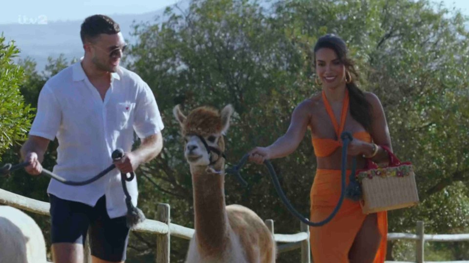 Ekin-Su and Curtis Pritchard walking an alpaca.