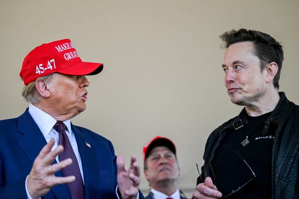 Musk has become a key ally of president-elect Donald Trump's