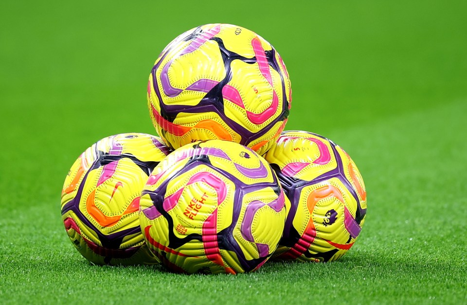 Nike make the Premier League balls