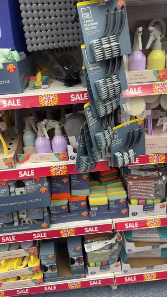 Store shelf with cleaning supplies on sale.