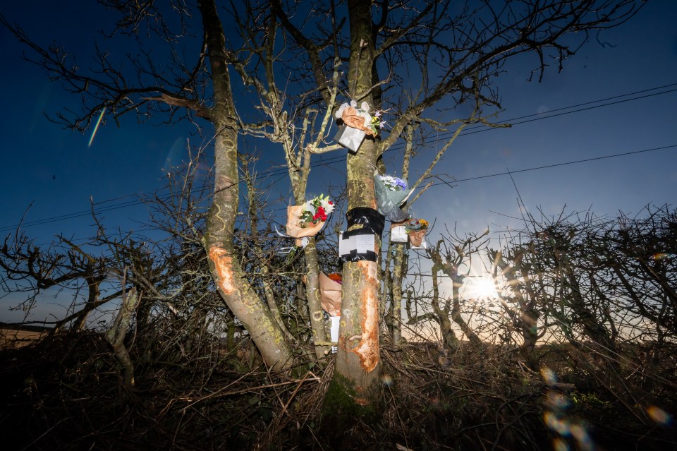 Floral tributes at a tree marking a fatal car accident.