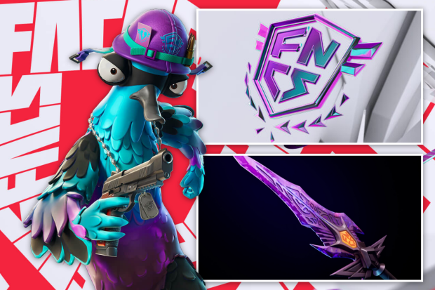 Collage of Fortnite FNCS 2025 promotional material, including a bird character, logo, and a pickaxe.