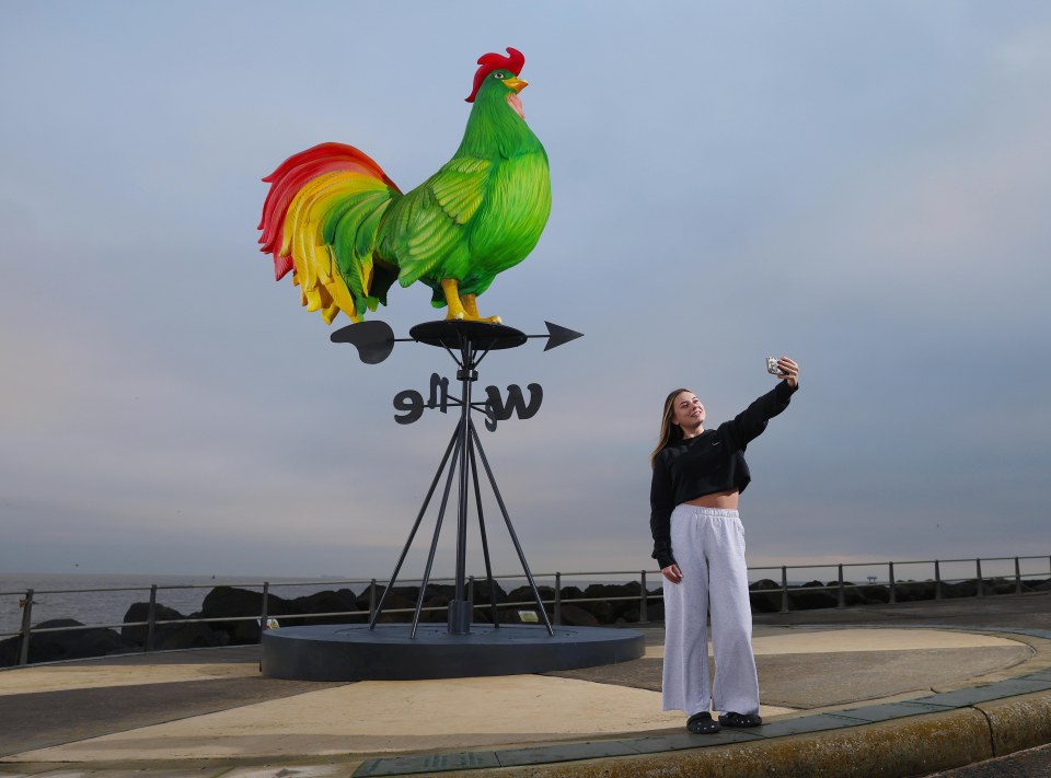 Large rooster weathervane with a person taking a selfie in front of it.