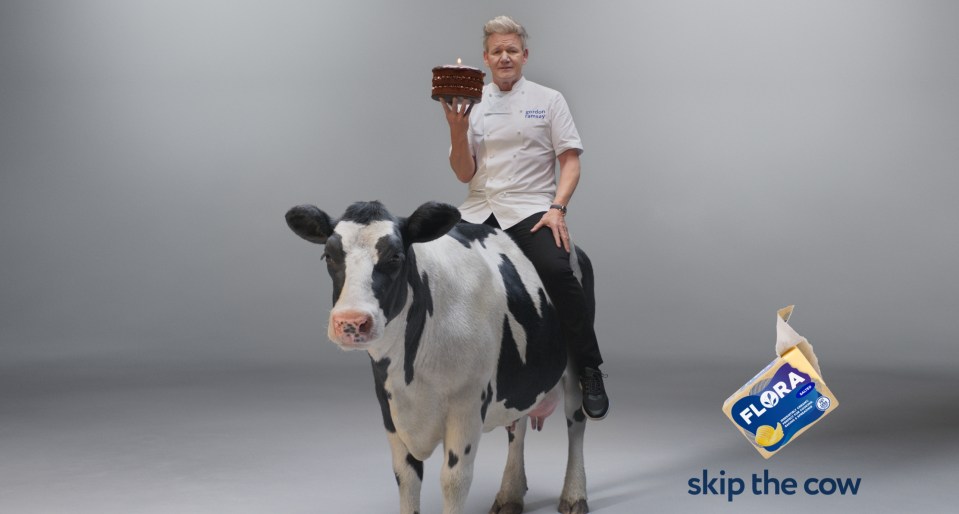 Gordon Ramsay sitting on a cow, holding a cake, with Flora butter in the foreground.